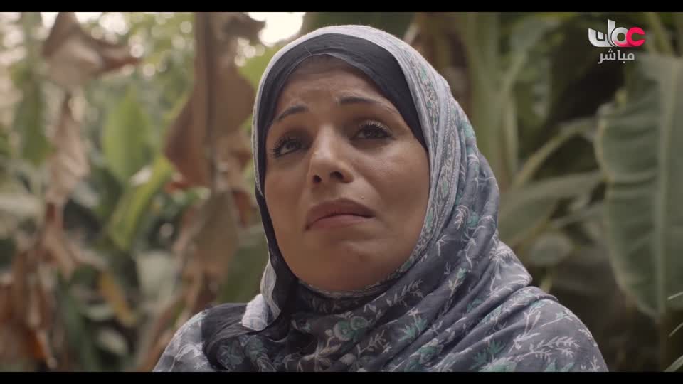 البرنامج العلمي - حصاد - الحلقة 14