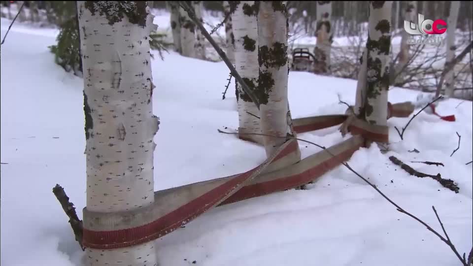 البرنامج الوثائقي - الأمن الغذائي - الحلقة 14