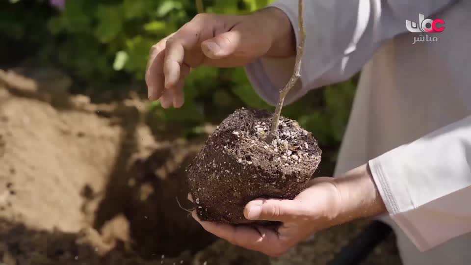 البرنامج العلمي - حصاد - الحلقة 14