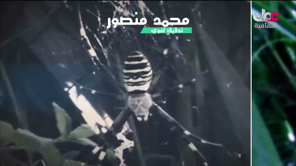 سبحانك ربي - الحلقة 17