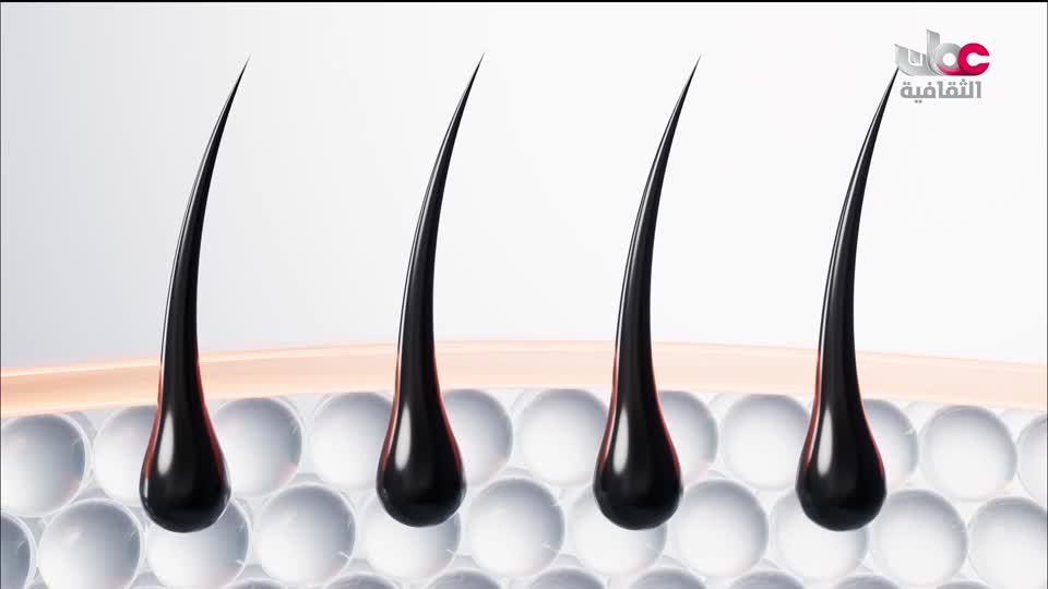 البرنامج الثقافي - زيوت عطرية - الحلقة 18