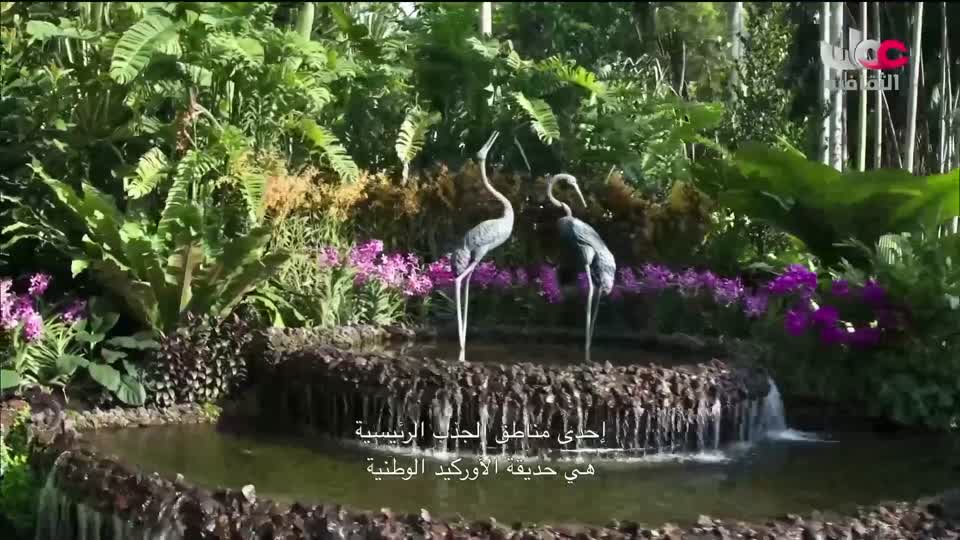 البرنامج الثقافي - كنوز من الموسوعة العمانية - الحلقة 2