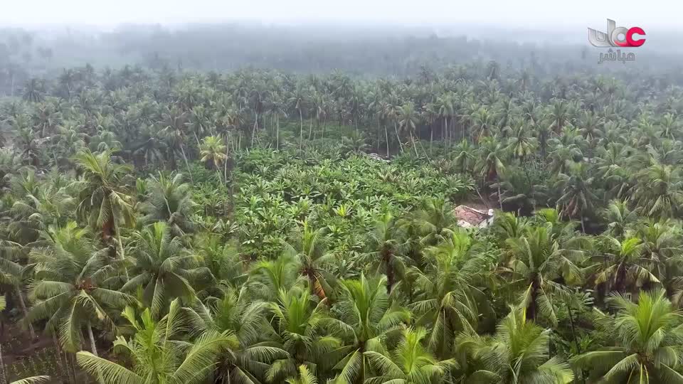 البرنامج العلمي - حصاد - الحلقة 15