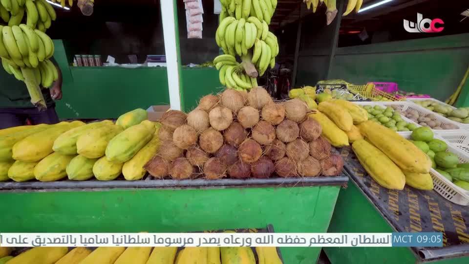 البرنامج العلمي - حصاد - الحلقة 15