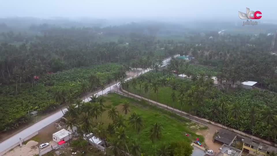 البرنامج العلمي - حصاد - الحلقة 15