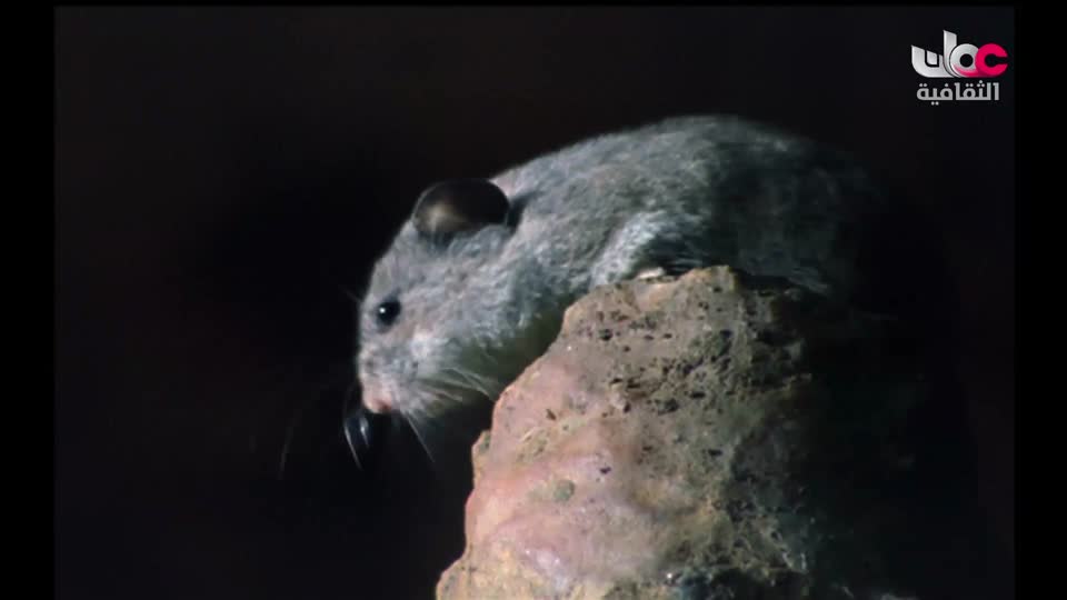 بحيرات وجبال - الحلقة 1