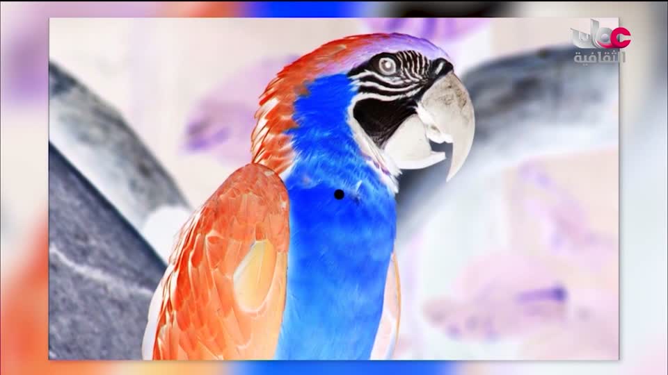 البرنامج الثقافي داخل العقل - الحلقة 16