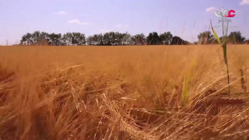 برنامج - نحو عالم اكثر اخضرارا - الحلقة 16