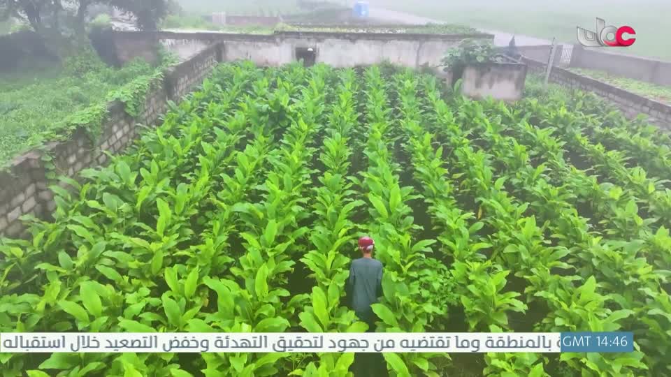 البرنامج العلمي - حصاد - الحلقة 16