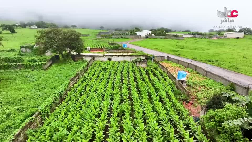 البرنامج العلمي - حصاد - الحلقة 16