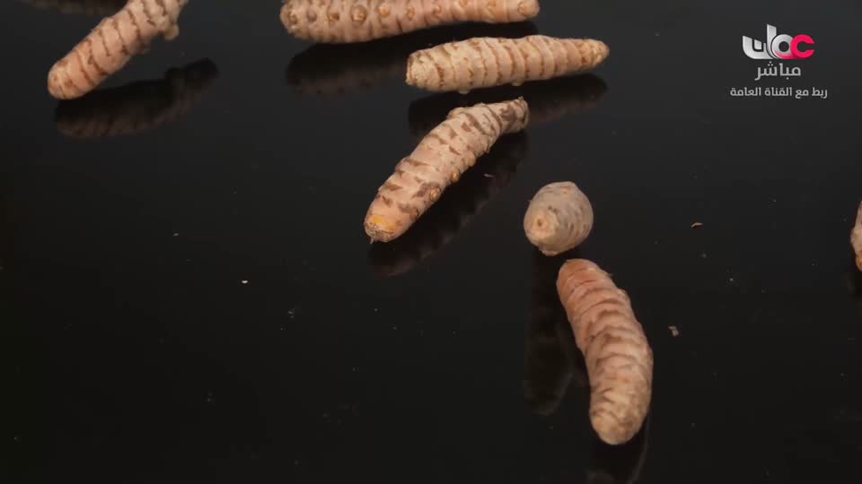 البرنامج العلمي - حصاد - الحلقة 16