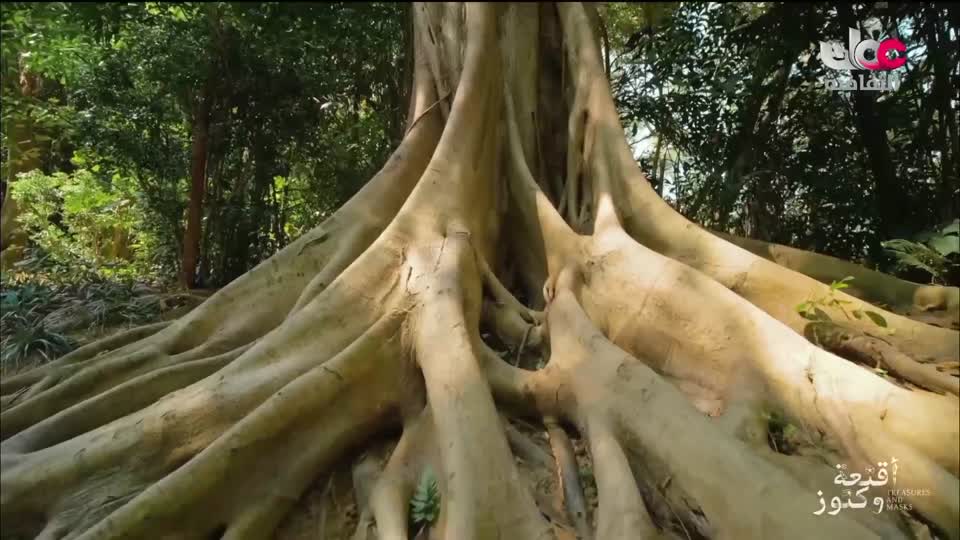 البرنامج الثقافي - غرائب البحار - الحلقة 2