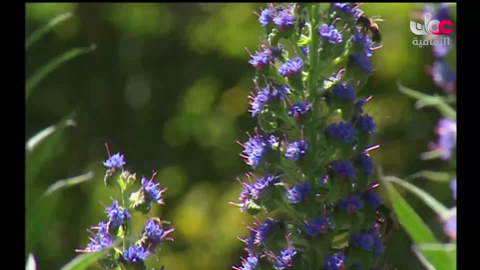 سبحانك ربي - الحلقة 18