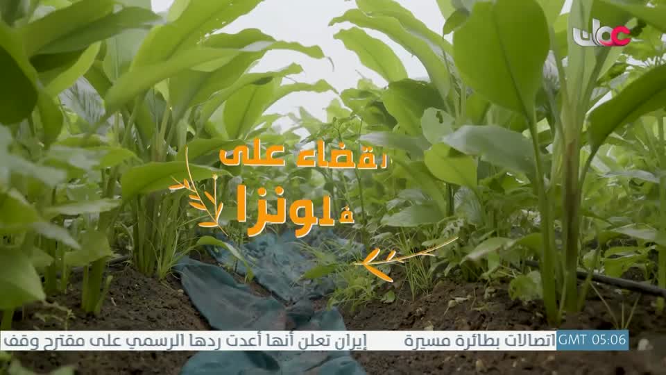 البرنامج العلمي - حصاد - الحلقة 16