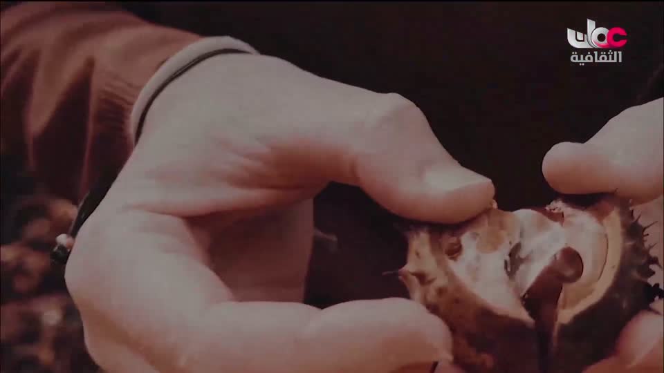 برنامج/اغاني مفرغة-موشحات - مركز عمانللموسيقى التق