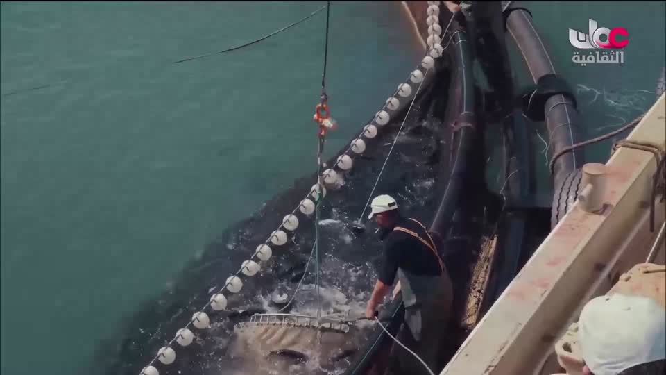 برنامج - فيتامينات - الحلقة 88