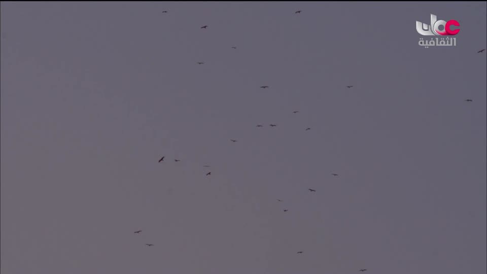 البرنامج الثقافي - إرث حضارة - الحلقة 17