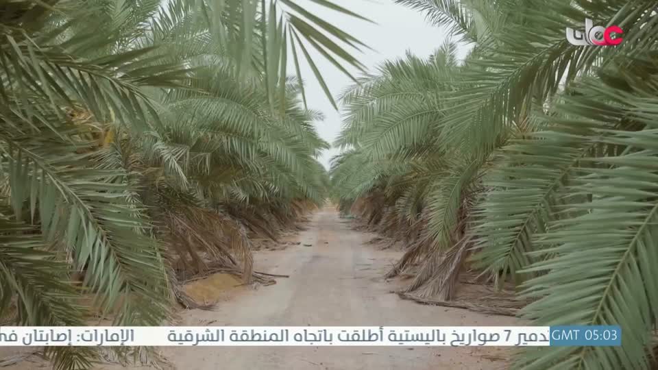 البرنامج العلمي - حصاد - الحلقة 17