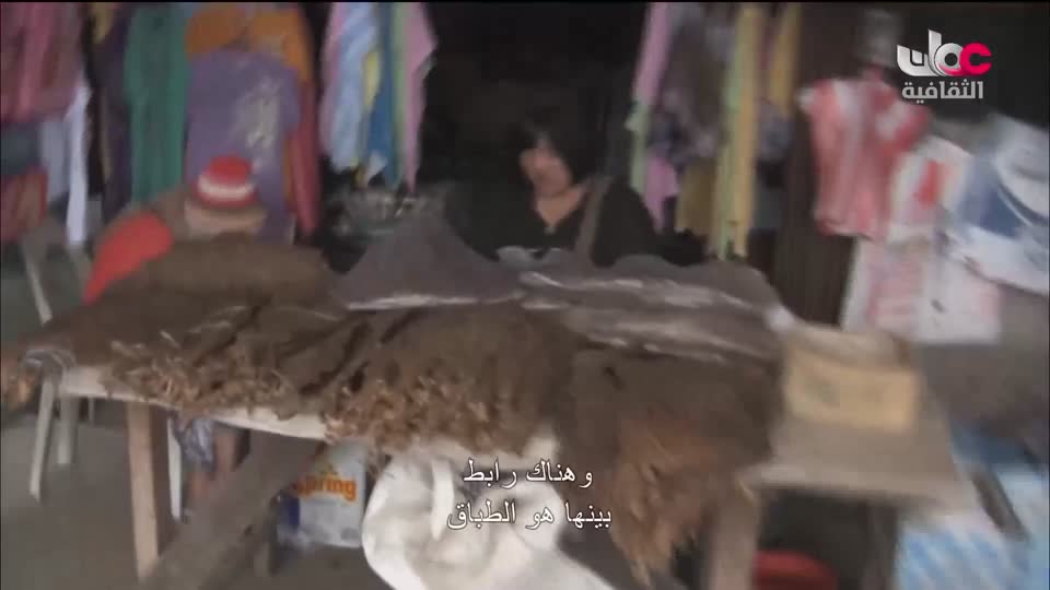 البرنامج الثقافي _ عشاق السفر - الحلقة 8