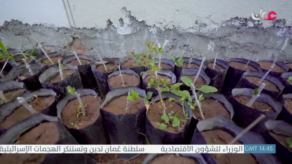 البرنامج العلمي - حصاد - الحلقة 18