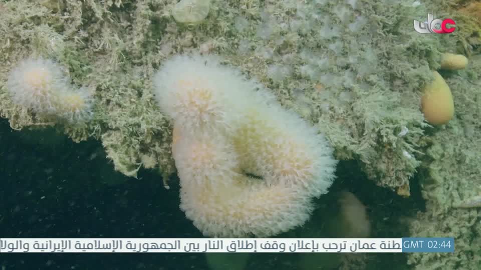 برنامج - نحو عالم اكثر اخضرارا - الحلقة 18