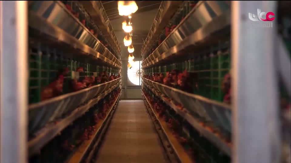 برنامج - أنا البحر - الحلقة 18