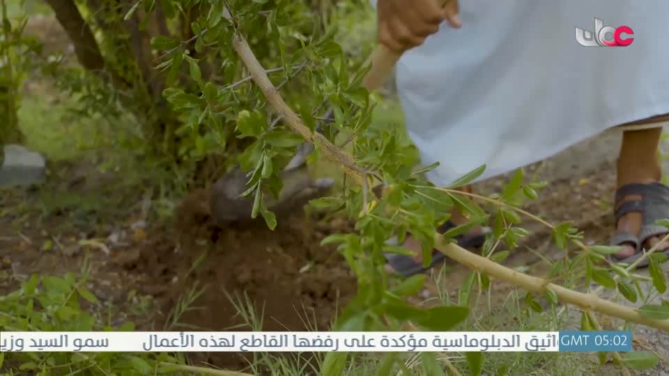 البرنامج العلمي - حصاد - الحلقة 18