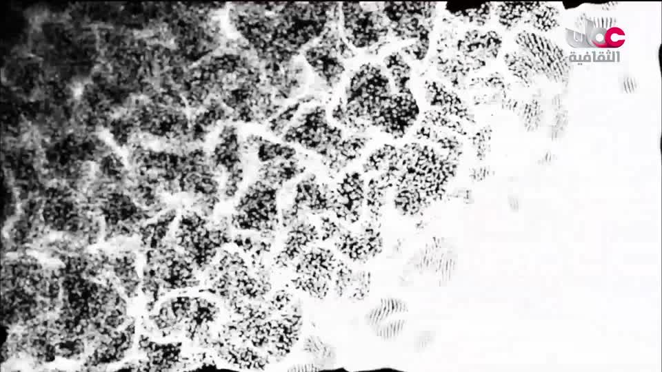 البرنامج الثقافي _ عشاق السفر - الحلقة 9