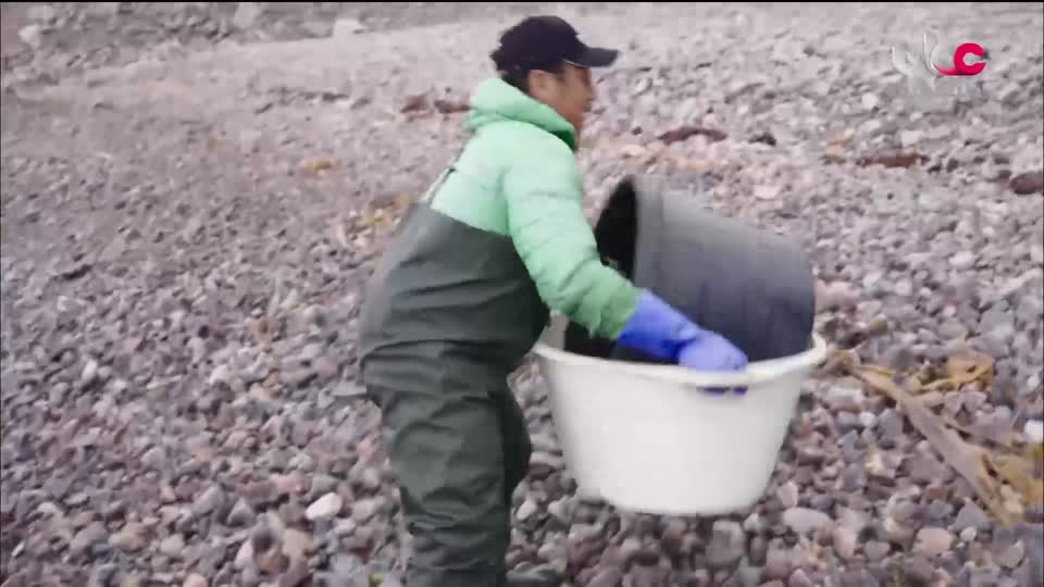 البرنامج الثقافي مقاهي عتيقة - الحلقة 18