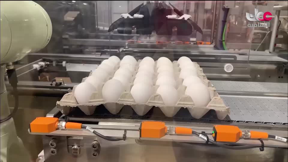 برنامج - فيتامينات - الحلقة 89