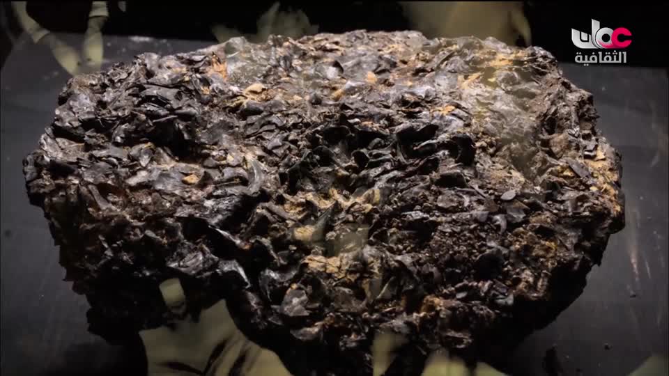 البرنامج الثقافي - زيوت عطرية - الحلقة 18