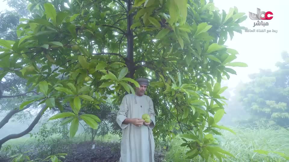 البرنامج العلمي - حصاد - الحلقة 19