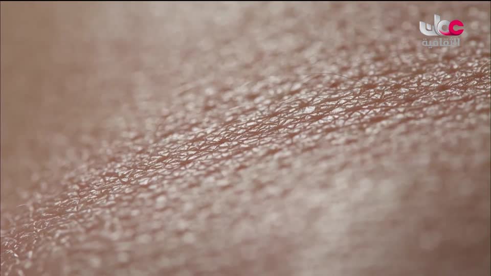 البرنامج الثقافي - زيوت عطرية - الحلقة 22