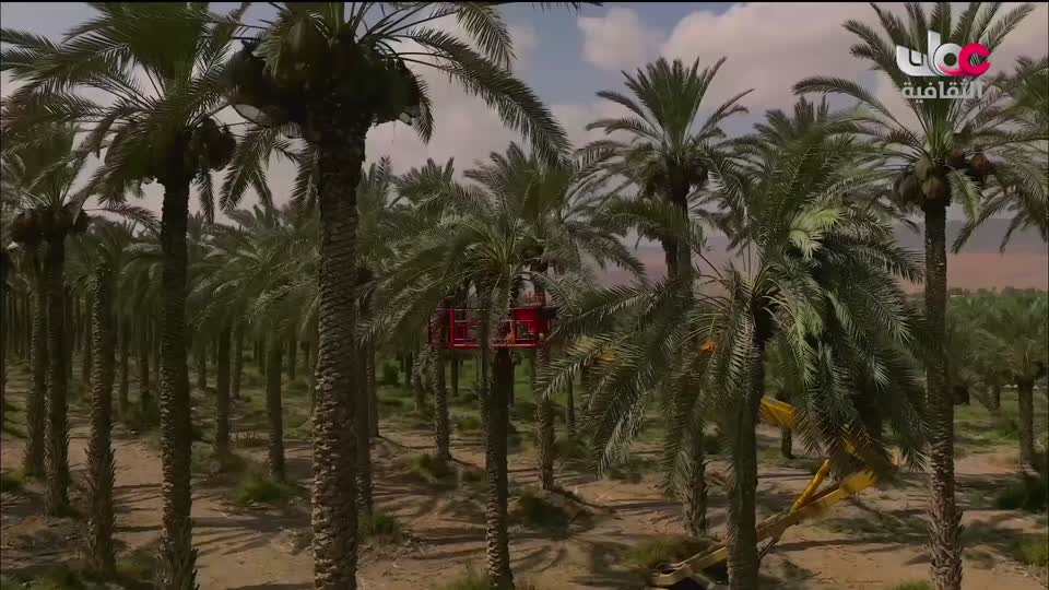 برنامج - كنوز الصحراء - الحلقة 19