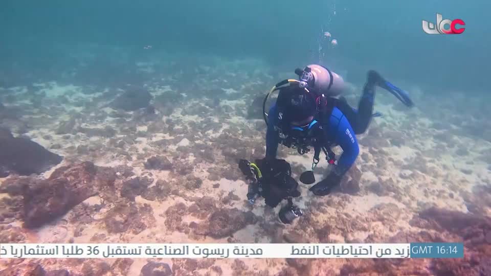 طاقة الحياة