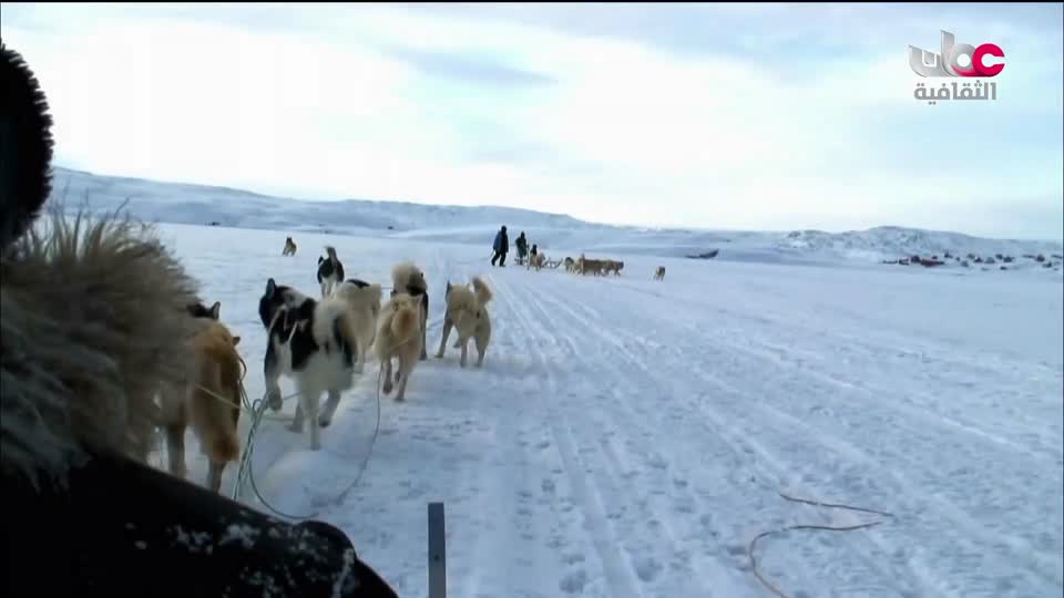 البرنامج الثقافي - العالم لك - الحلقة 22