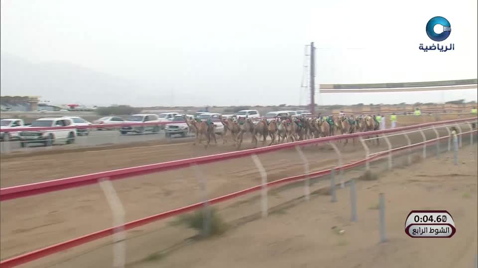 السباق الختامي لكأس جلالة السلطان للهجن - الفليج 2026 - الحلقة 8