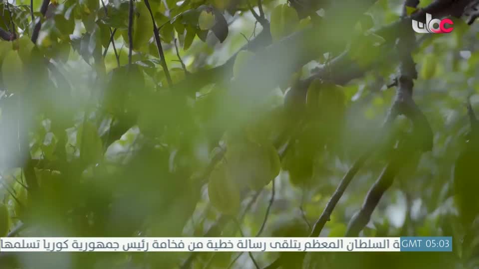 البرنامج العلمي - حصاد - الحلقة 19