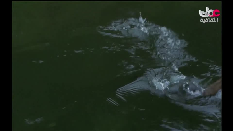 سبحانك ربي - الحلقة 21