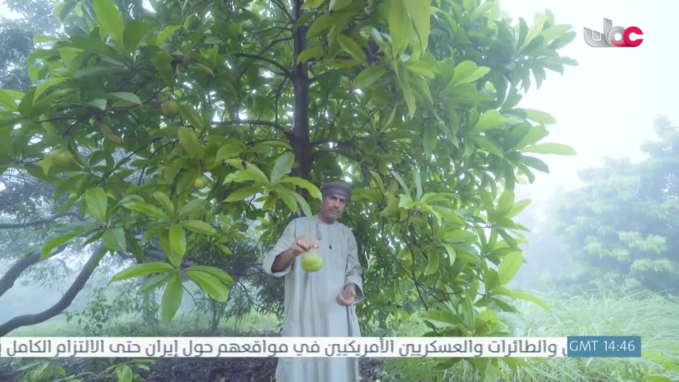 البرنامج العلمي - حصاد - الحلقة 19