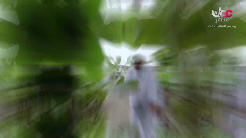 البرنامج العلمي - حصاد - الحلقة 20