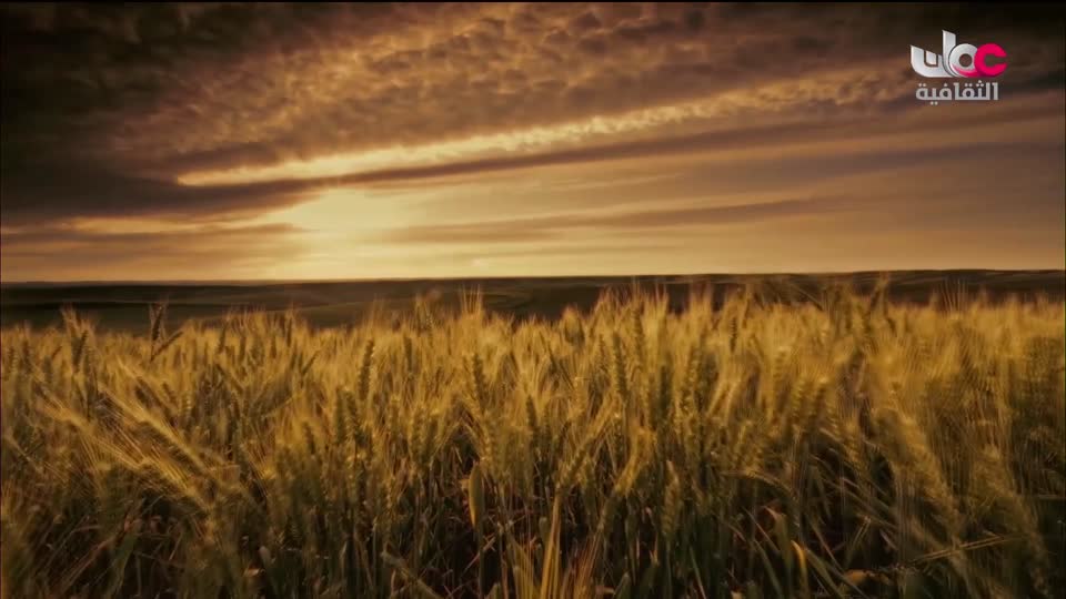 البرنامج الثقافي - العالم لك - الحلقة 23