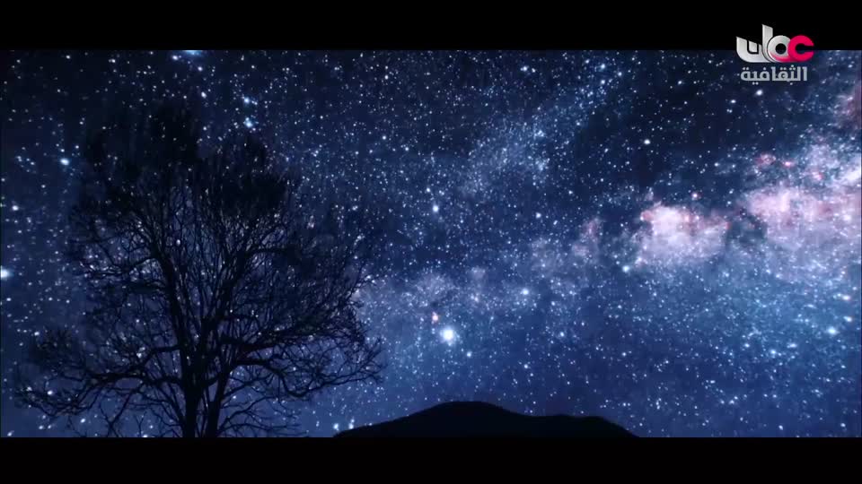 البرنامج الثقافي - عالم الأشجار