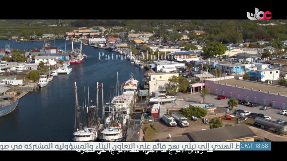 أفلام أجنبية 2024 - الحلقة 2