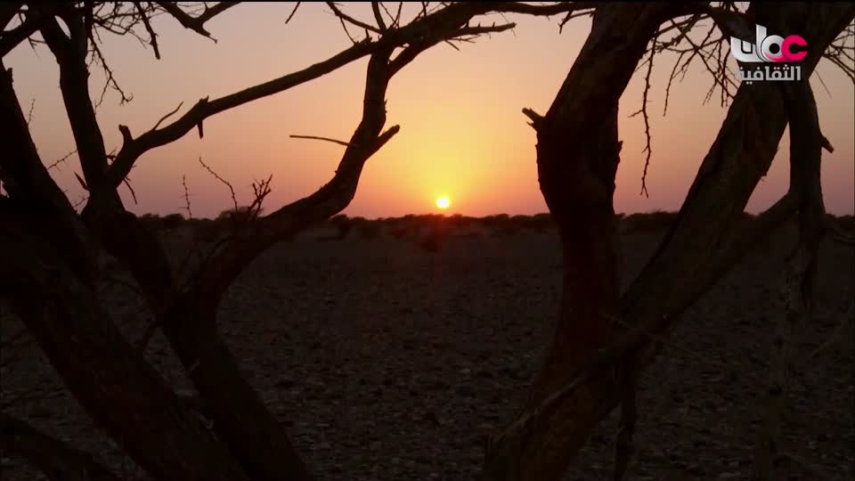 البرنامج الثقافي - غرائب الصحاري - الحلقة 2