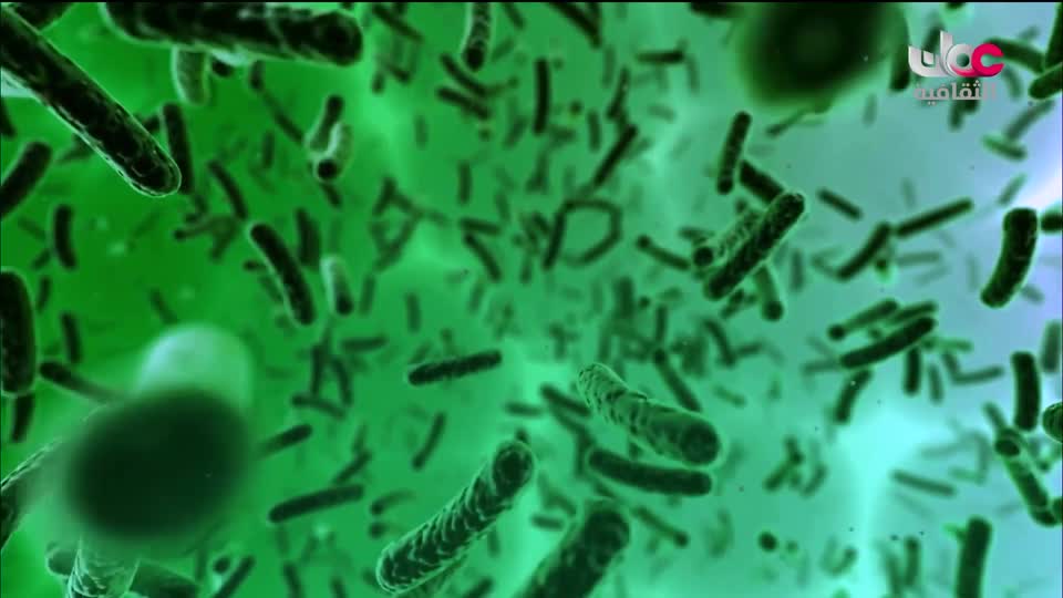 البرنامج الثقافي - زيوت عطرية - الحلقة 20