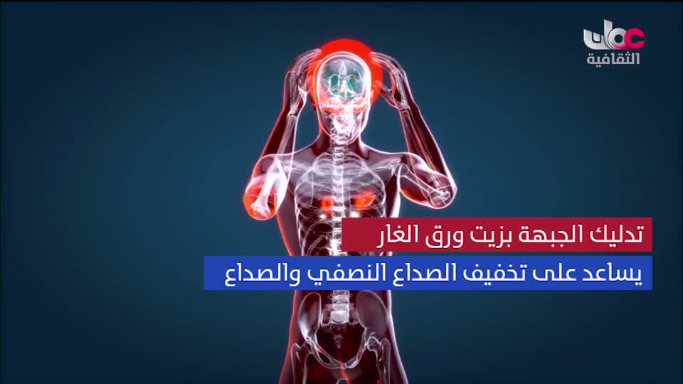 برنامج/اغاني مفرغة-موشحات - مركز عمانللموسيقى التق