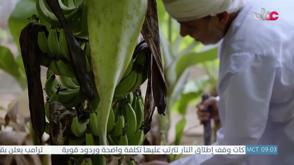 البرنامج العلمي - حصاد - الحلقة 20