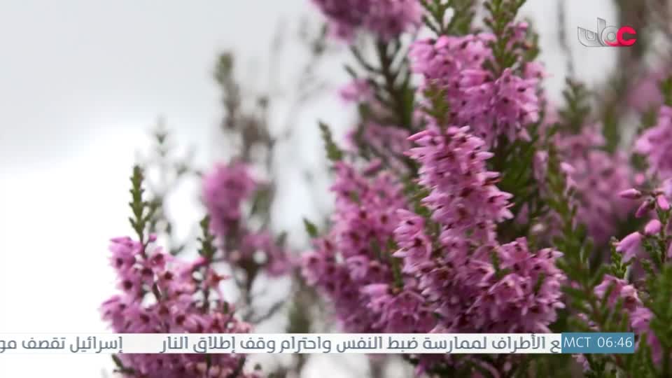 برنامج - نحو عالم اكثر اخضرارا - الحلقة 20