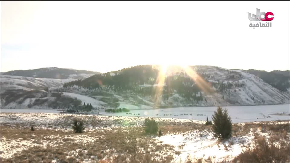 برنامج _ حارات - الحلقة 20